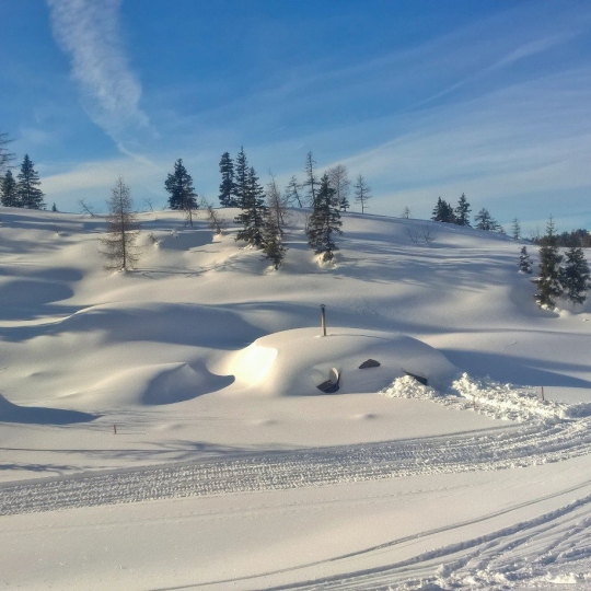 Eine Winterlandschaft.